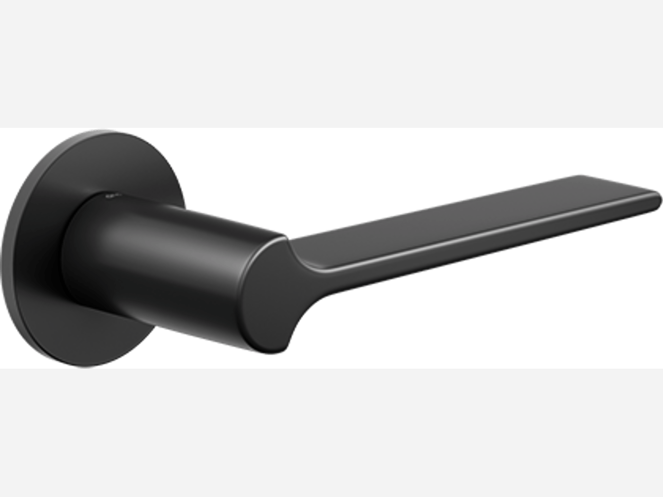 ГИНКГО Чёрный